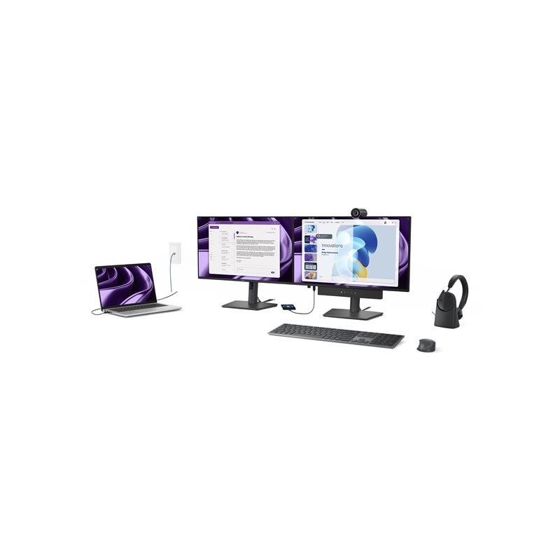 Ecran 24 USB-C Dell P2426HE